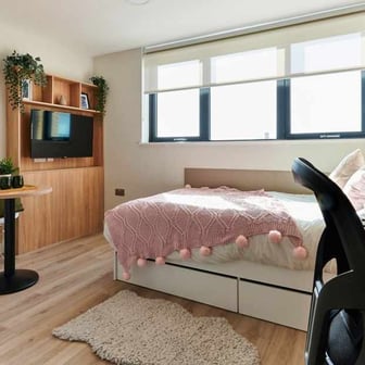 Studio Gold - Image 3