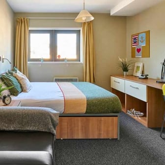 Studio Classic - Image 1