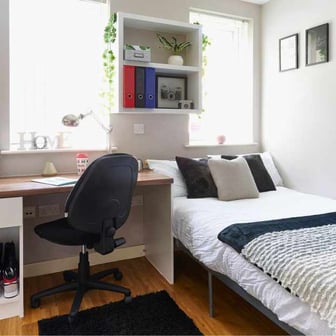 Studio Classic - Image 2