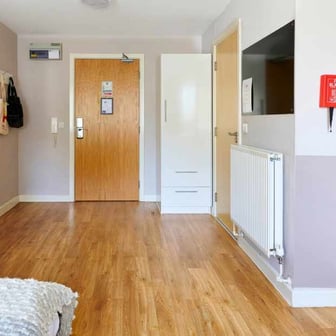 Studio Classic - Image 3