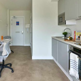 Studio Bronze - Image 4