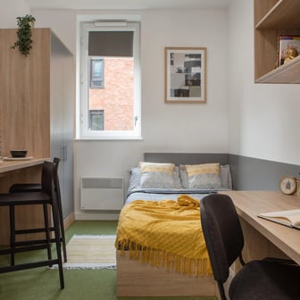 Standard Studio - Image 2