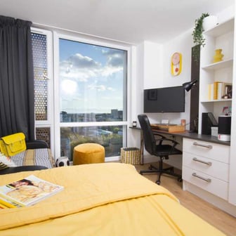 Skyline Large Deluxe Studio - Image 2