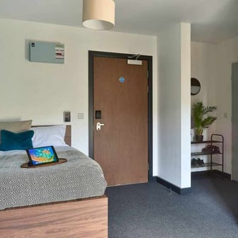 Studio Gold - Image 2