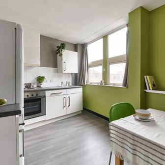 Basic Studio - Image 3