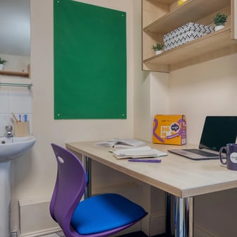 Standard Single - Image 5