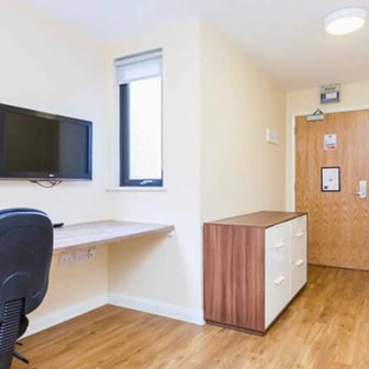 Studio Deluxe - Image 5