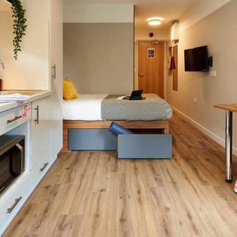 Studio Penthouse Plus - Image 3