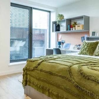 Studio Accessible Premium - Image 2