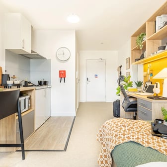 Premium Plus Studio - Image 10