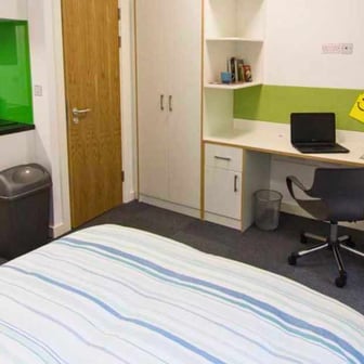 Studio Gold - Image 3