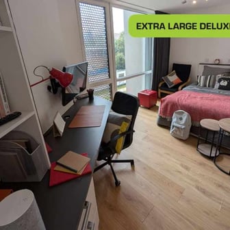 Penthouse Large Deluxe Studio - Image 8