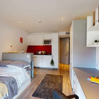 Deluxe Studio - Image 1