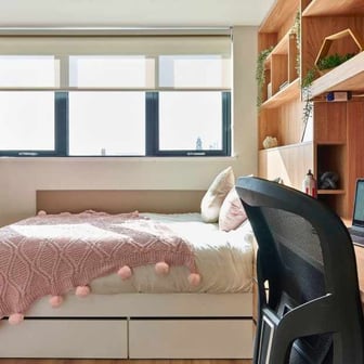 Studio Gold - Image 2