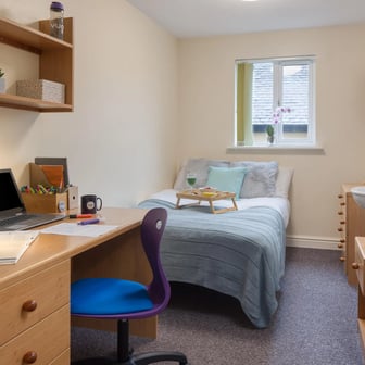 Classic Plus - Image 4