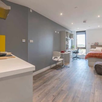 Premium Gold Studio - Image 9