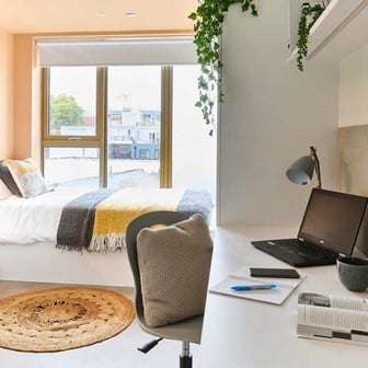 Studio Bronze - Image 3