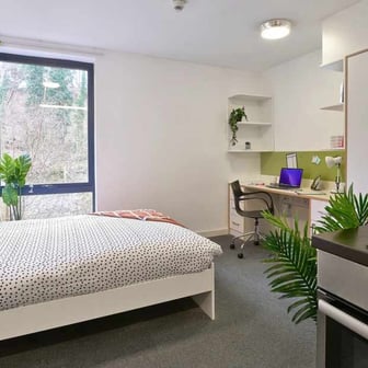 Studio Gold - Image 7