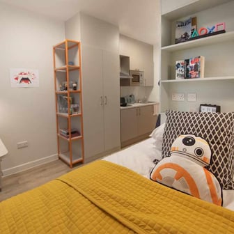 Skyline Cluster Studio Plus - Image 1