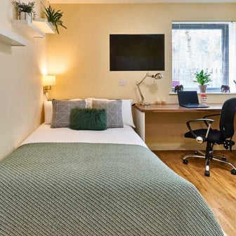 Studio Premium - Image 5