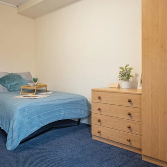 Classic Plus - Image 1