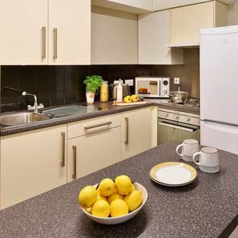 Studio Classic - Image 4