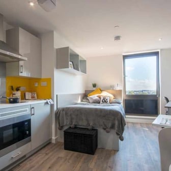 Premium Gold Studio - Image 1