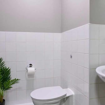 Ensuite Silver - Image 4