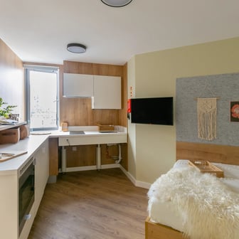 Extra Large Double Studio - Image 2