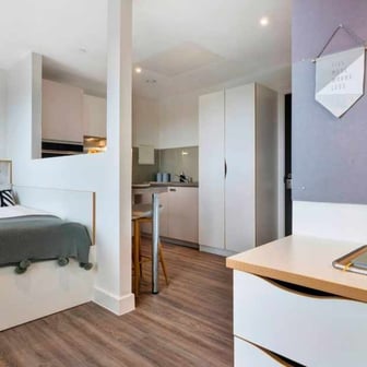 Studio Gold - Image 2