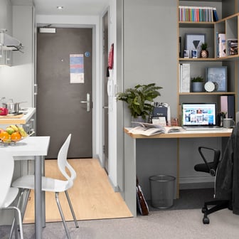 Studio Silver Premium (balcony) - Image 2