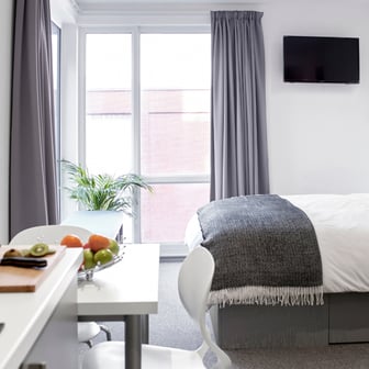 Studio Gold Premium - Image 2