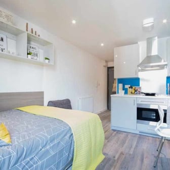 Standard Gold Studio - Image 3