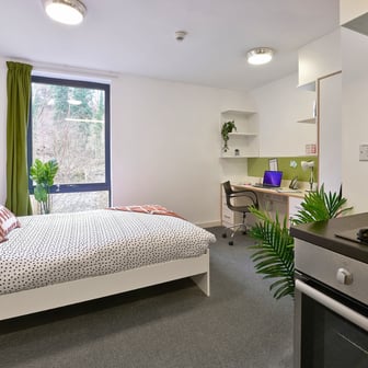 Gold Studio - Image 4