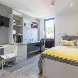 Premium Gold Studio - Image 6