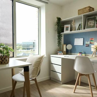 Gold Studio - Image 4