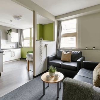 Basic Studio - Image 2