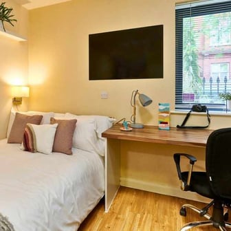 Studio Classic - Image 3