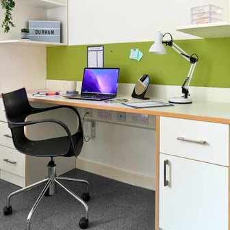 Studio Gold - Image 8