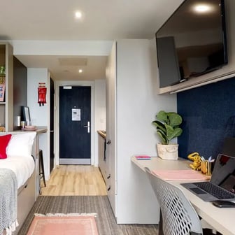 Gold Studio - Image 1