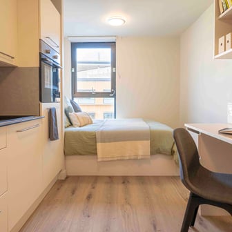 Bronze Studio Plus - Image 1