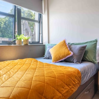 Gold Studio Plus - Image 1