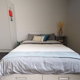 Platinum Studio Plus - Image 1