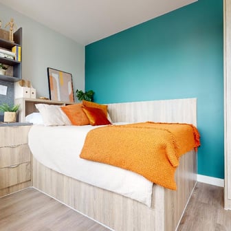 Gold Studio Deluxe - Image 1