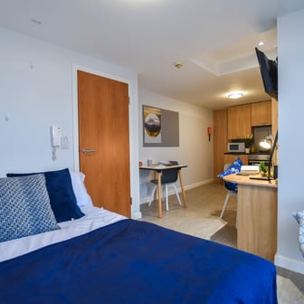 Gold Studio Plus - Image 1