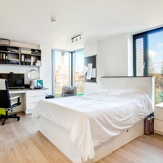 Deluxe Studio - Image 1