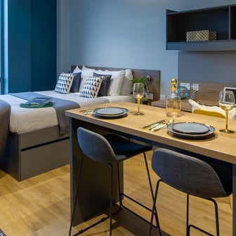 Luxury Plus Studio - Image 1