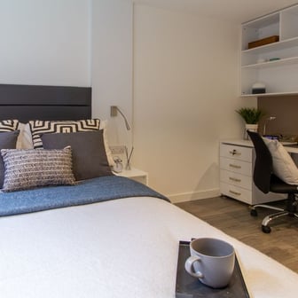 Classic Studio Plus - Image 4