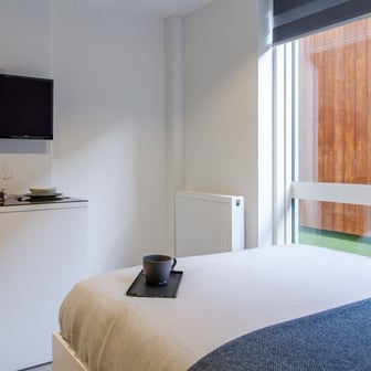 Large Classic Studio Plus - Image 3