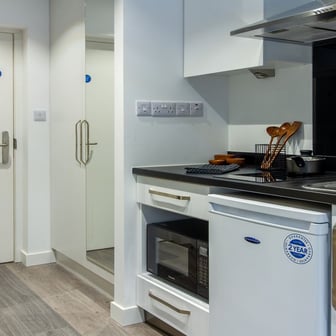 Large Classic Studio Plus - Image 5